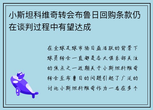 小斯坦科维奇转会布鲁日回购条款仍在谈判过程中有望达成