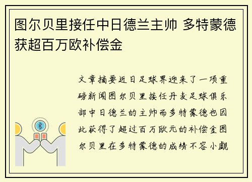 图尔贝里接任中日德兰主帅 多特蒙德获超百万欧补偿金